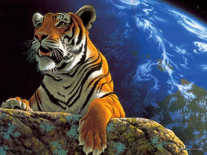 paintanimals26