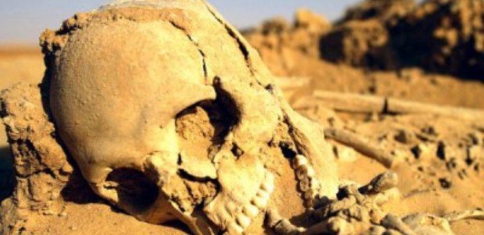 ЮАр-доисторическая-находка