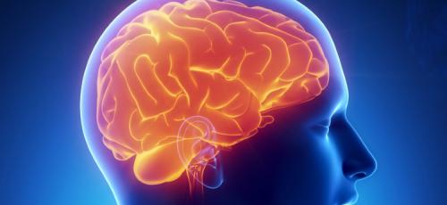 info-altai-1413790077