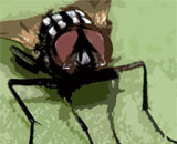 small_information_items_15061