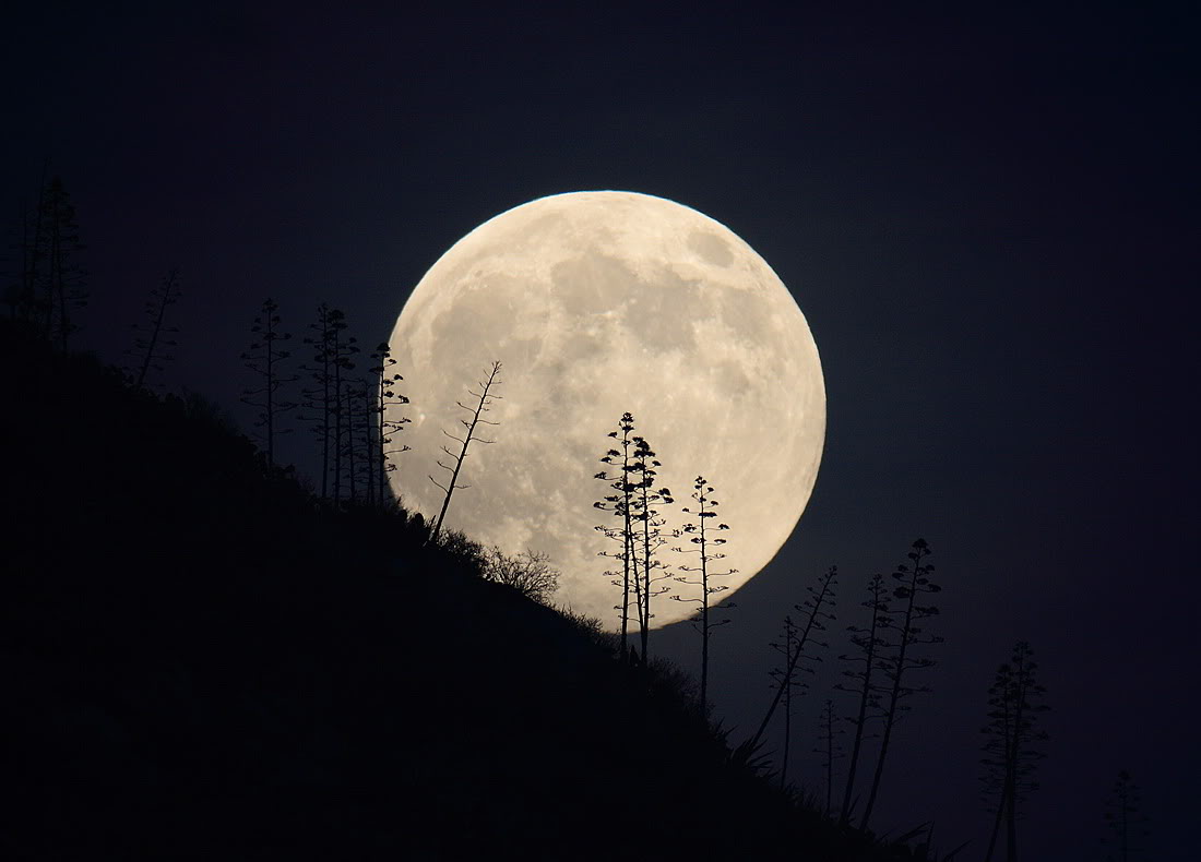 Life moon. Луна. Большая Луна. Гигантская Луна. Огромная Луна на горизонте.